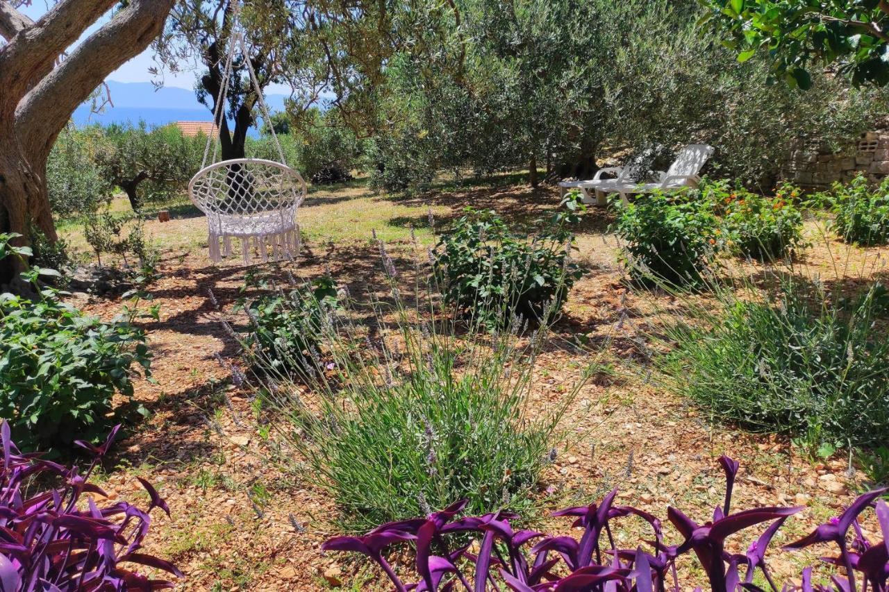 Apartment Family Friendly Seaside Cove Torac, Hvar - 2071 Gdinj